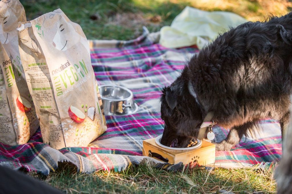 Foto de Alimento vegano para perros NeoNatural Vegan Daily