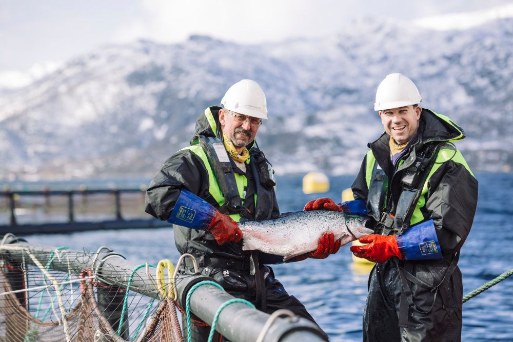 Foto de Noruega es líder mundial en pesca y acuicultura