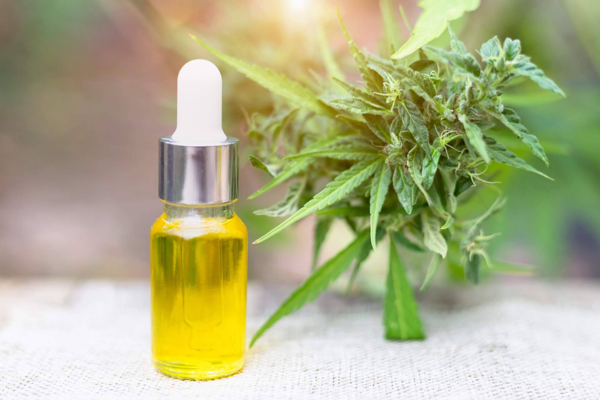 La marihuana medicinal sin THC que se puede adquirir en John Skate CBD