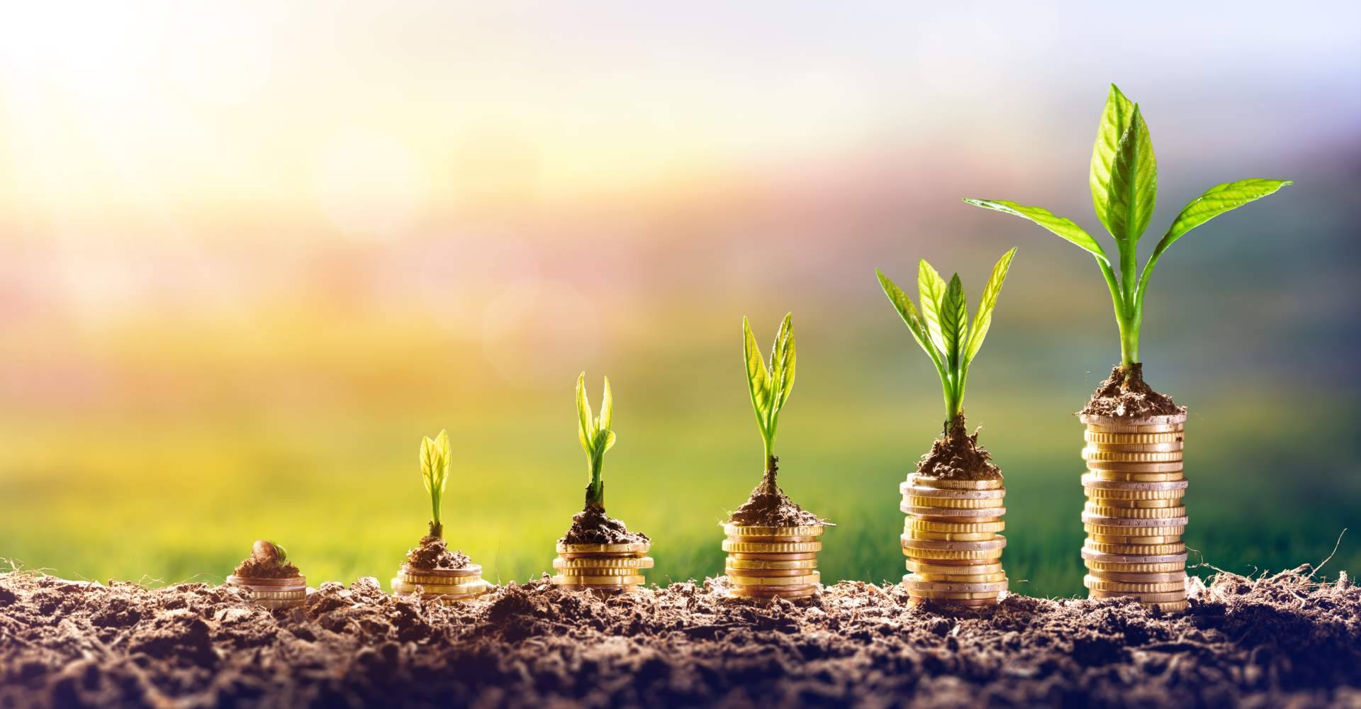 Inversiones deportivas confiables respaldadas por los expertos de NEXAP