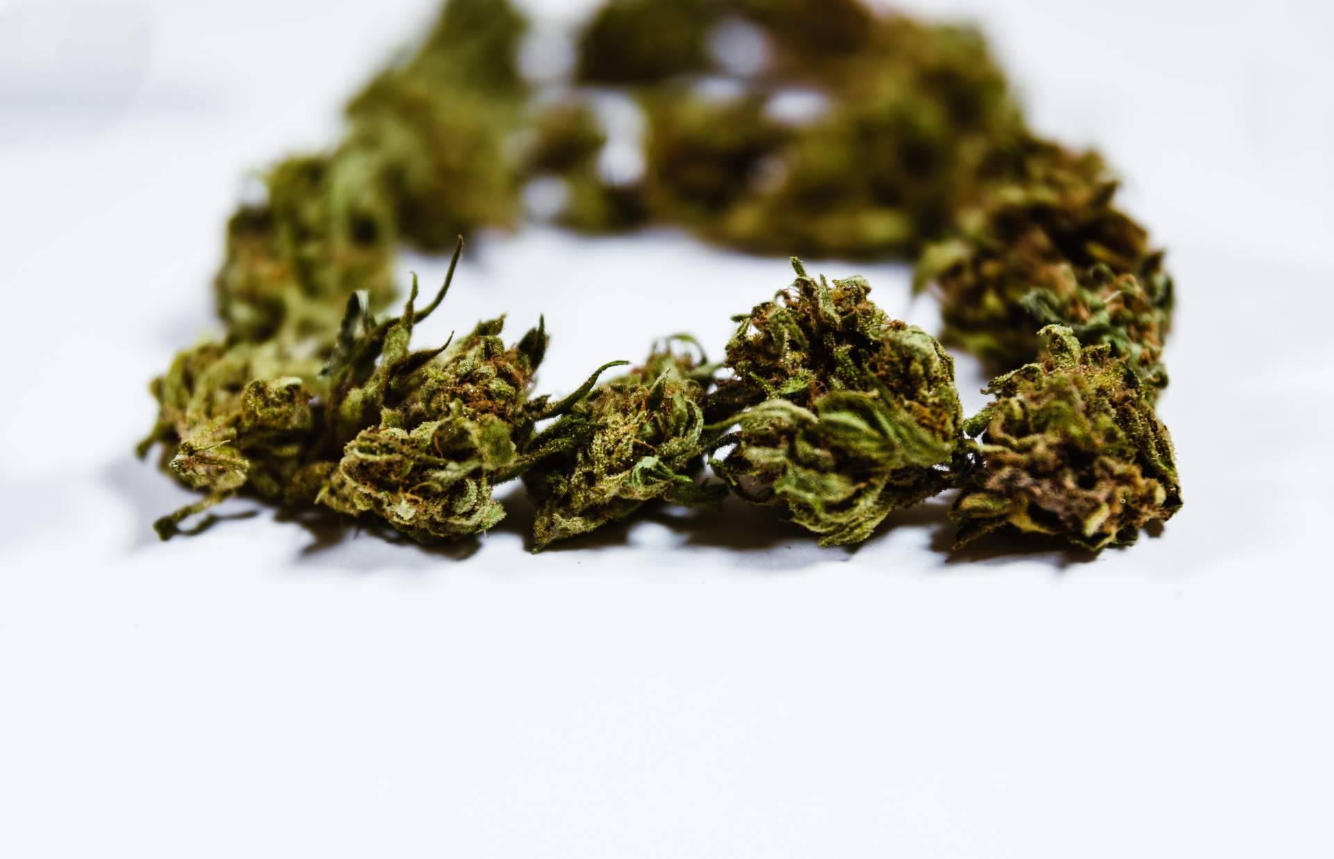 Conseguir flores CBD premium en Bee Products