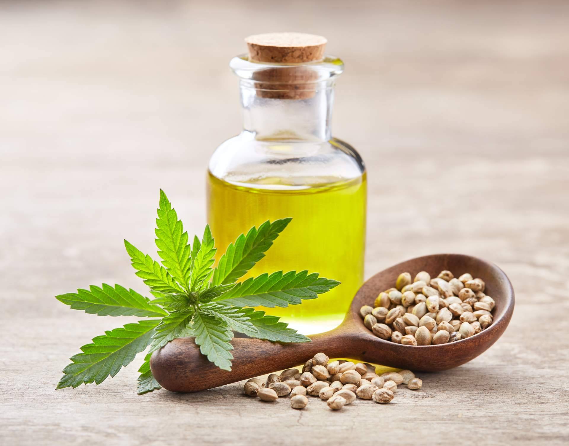 Cáñamo Industrial; Un Cultivo Sostenible y Multifacético