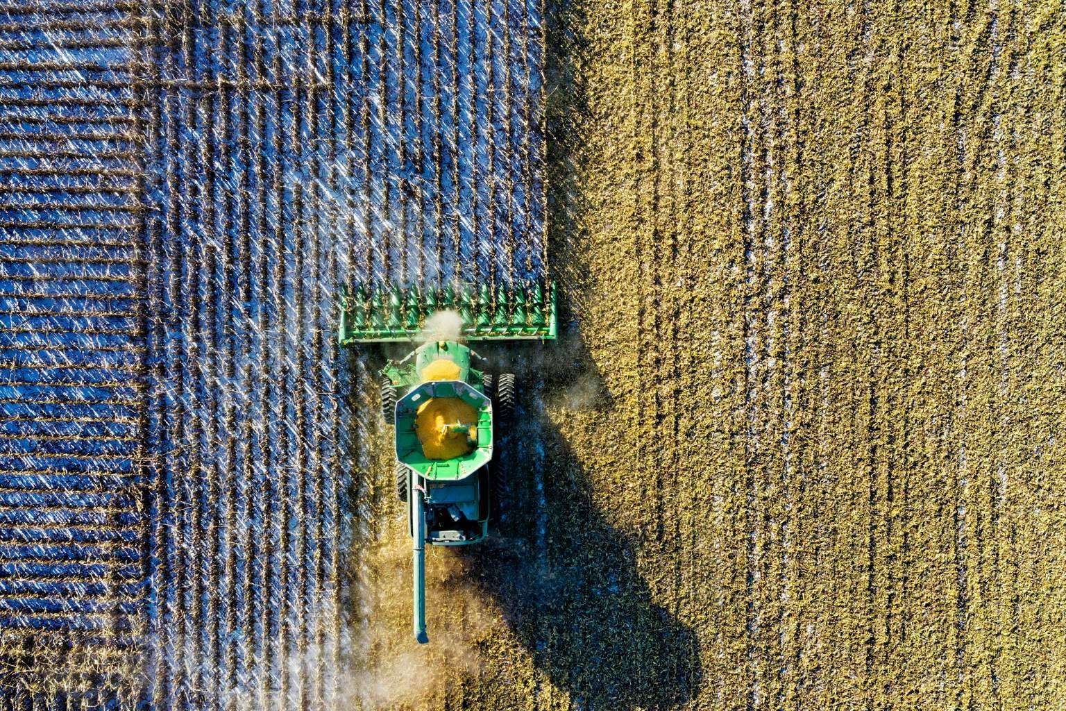 Es tiempo de cosecha; El auge del cáñamo industrial